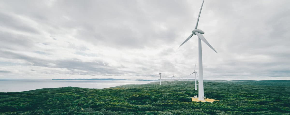 Annual Report Design: A Guide Towards Mandatory Climate Reporting